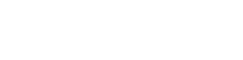 Большой логотип компании