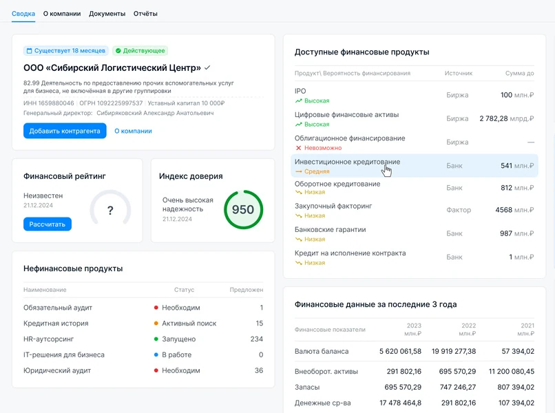 Пример раздела "Сводная информация о компании"